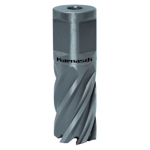 Produktbild für SILVER-LINE 25 Weldon, Ø 46 mm